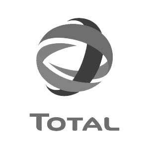 Total : Various lubricants for the automotive and industrial sectors.